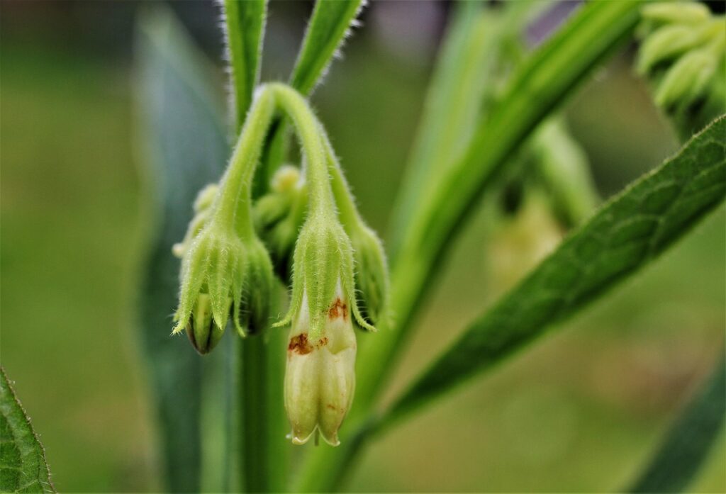 ニキビ跡に効果的な男性用美顔器はどれですか？