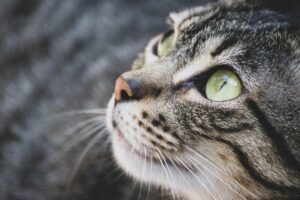 ニキビ跡をひげそりで悪化させない防ぐ方法は？