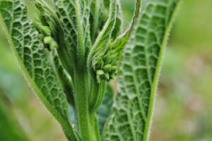 男性のニキビ跡治療におすすめの美容皮膚科は？
