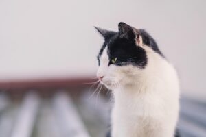 ひげによるニキビ跡の対策は男性にとってどうすれば良い？