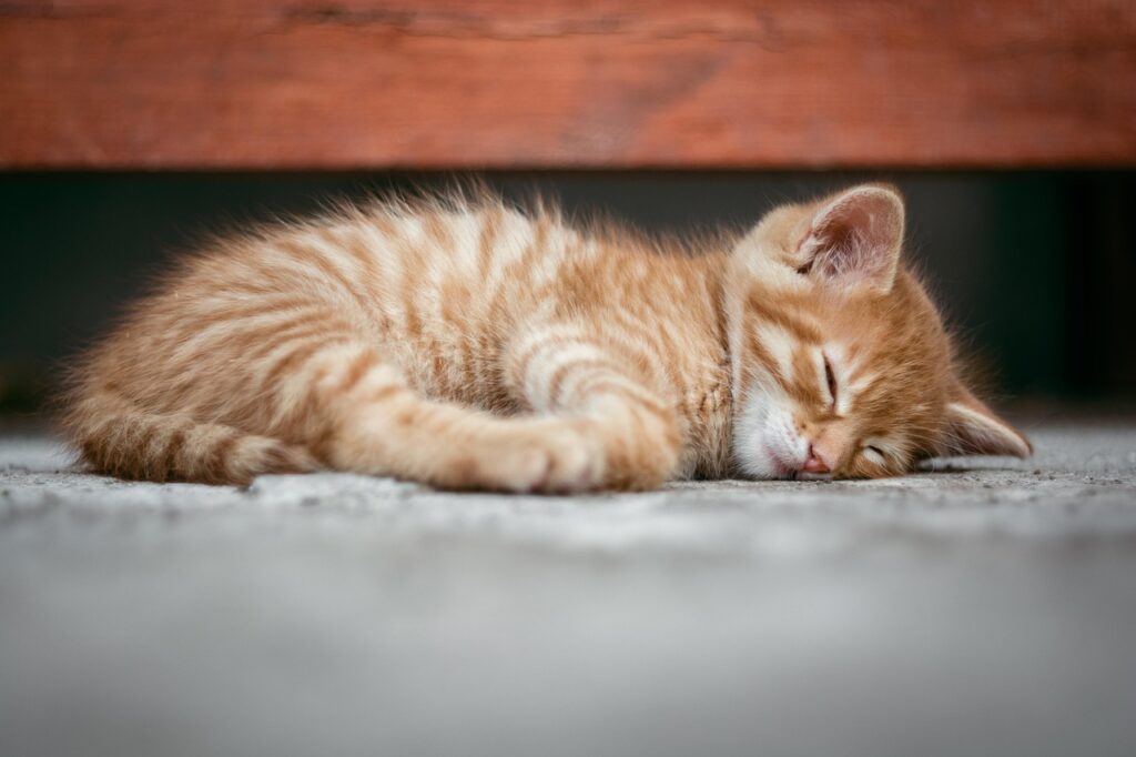 ニキビ跡に睡眠が与える影響とは男性にどのように関わるのか？