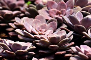 ニキビ跡のレーザー後に男性が行うべきケア方法は？