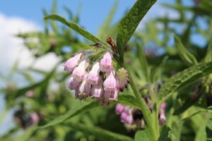 ニキビ跡に対するレチノールの効果は男性にも期待できる？