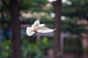 ニキビ跡のケアに最適な安い方法は？