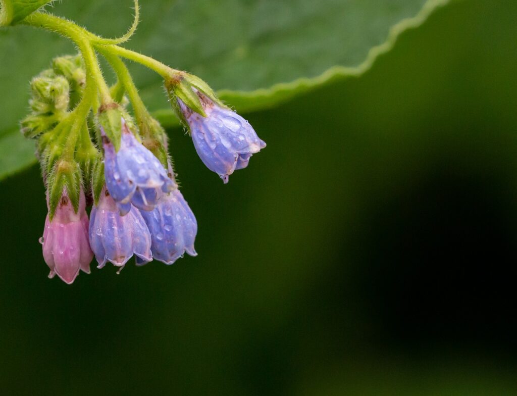 ニキビ跡の治し方は本当に効果があるの？