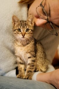 ニキビ跡のケアはいつから始めるべき？